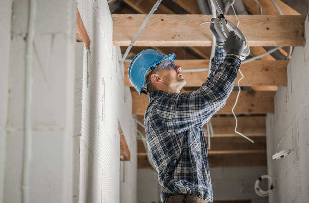 Best Electrical Troubleshooting Services  in Cedar Grove, FL