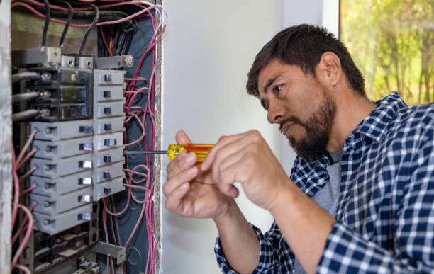 Best Electrical Repair Services  in Cedar Grove, FL